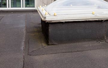 disadvantages of Cyffylliog flat roofs