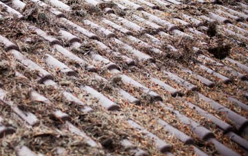 Cyffylliog roof cleaning companies